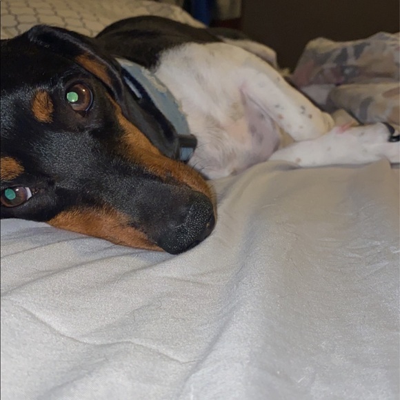 Meet your Posher, Jeremy - Picture 1 of 1